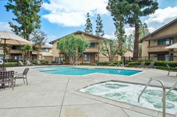 Swimming pool and spa