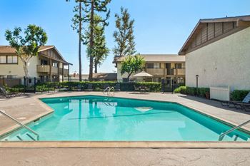 Swimming pool and spa