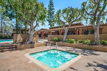 Four swimming pools and four spas