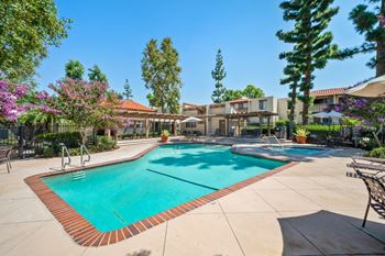 Swimming pool and spa