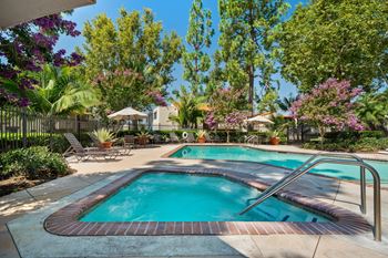 Swimming pool and spa