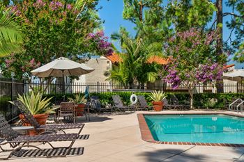Swimming pool and spa