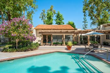 Swimming pool and spa