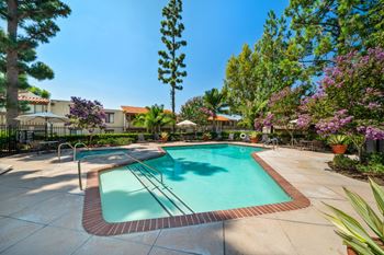 Swimming pool and spa
