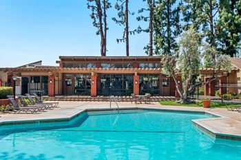Four swimming pools and four spas