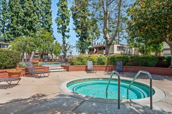 Four swimming pools and four spas