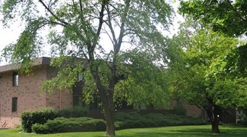 Milwaukee apartment for rent - A tree in front of a building with a lawn in the foreground.