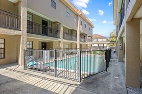 Tampa apartment for rent - A pool surrounded by a black fence in a sunny courtyard.