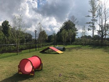 Dog park with agility equipment and lawn