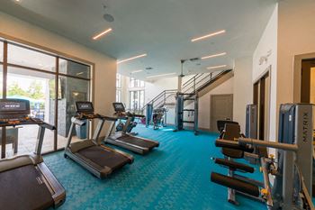 Gym with treadmills and strength equipment