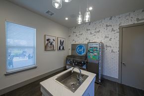 Jacksonville apartment for rent - Pet wash station with blue cabinetry at Ciel Luxury Apartments, Jacksonville, 32246
