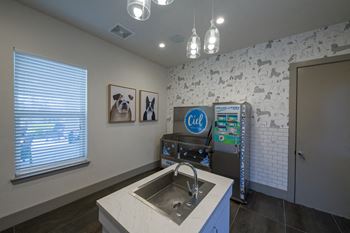Pet wash station with modern fixtures