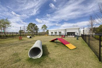 Dog park with agility equipment and fenced play area