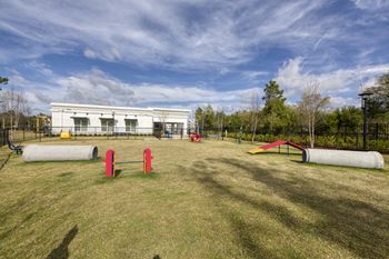 Dog agility course with tunnels and exercise equipment