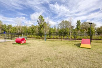 Fenced dog park with agility ramps and tunnels