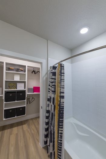 Bathroom with walk-in closet entrance