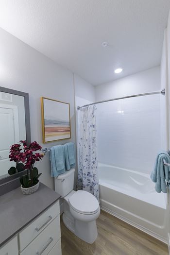 Bathroom with white vanity and bathtub
