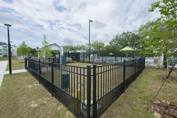 Pet park
