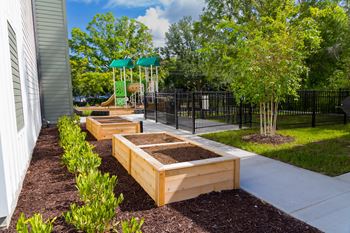 Community garden