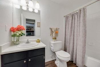 The park at wintergreen apartments | desoto, tx | model bath