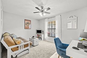 Tampa apartment for rent - Albany Apartments | Tampa, FL | Living Room