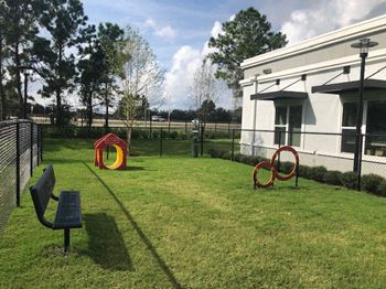 Pet playground with agility equipment and seating