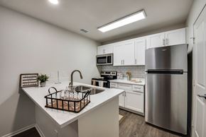 Fort Worth apartment for rent - Horizons at Sunridge Kitchen