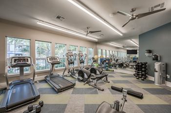 Harbor cove apartments fitness center