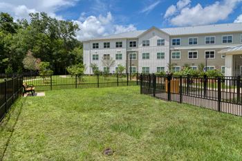 Dog park area