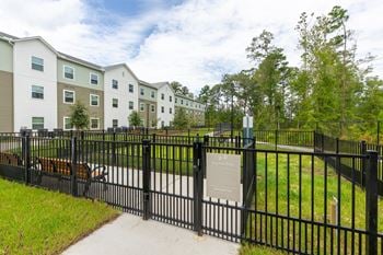 Molly crossing| middleburg, fl | dog park