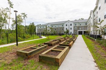 Outdoor garden