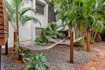 Park west hammocks