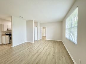 Tampa apartment for rent - A spacious room with light wood flooring and white walls.