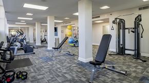 Clearwater apartment for rent - The Indigo |Clearwater, FL | Fitness Center