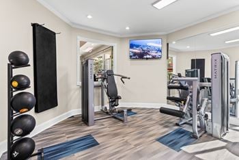 The landings at boot ranch | palm harbor fl | fitness center
