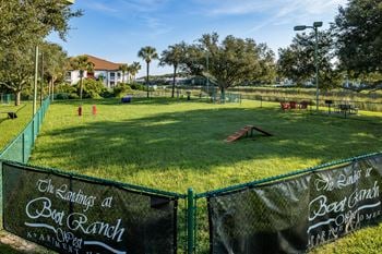 The landings at boot ranch | palm harbor fl | pet park
