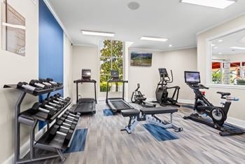 The landings at boot ranch | palm harbor fl | fitness center