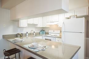 Plant City apartment for rent - Townsgate Apartments | Plant City, FL | Spacious Floor Plans