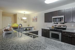 Palm Harbor apartment for rent - The Landings at Boot Ranch | Palm Harbor FL  | Model Kitchen