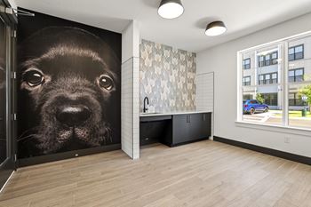 Pet grooming station with dog wall art