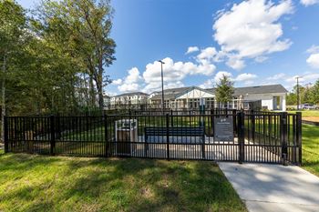 Dog park area