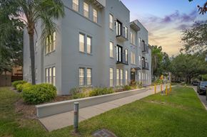 Tampa apartment for rent - Texas Apartments