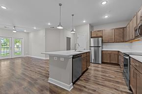 Greenville apartment for rent - Fully Furnished Kitchen at Greenbrier Woods, North Carolina, 27858