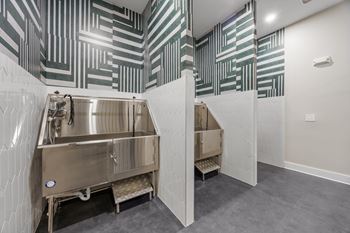 Pet wash station