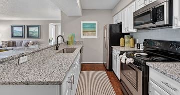 Fort Worth apartment for rent - A kitchen with granite countertops and stainless steel appliances.