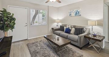 Tempe apartment for rent - A living room with a grey couch and a rug.