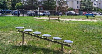 Dog park