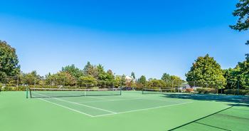 Tennis court