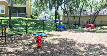 Dog park
