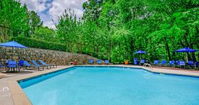 Roswell apartment for rent - Willeo Creek | Roswell, GA